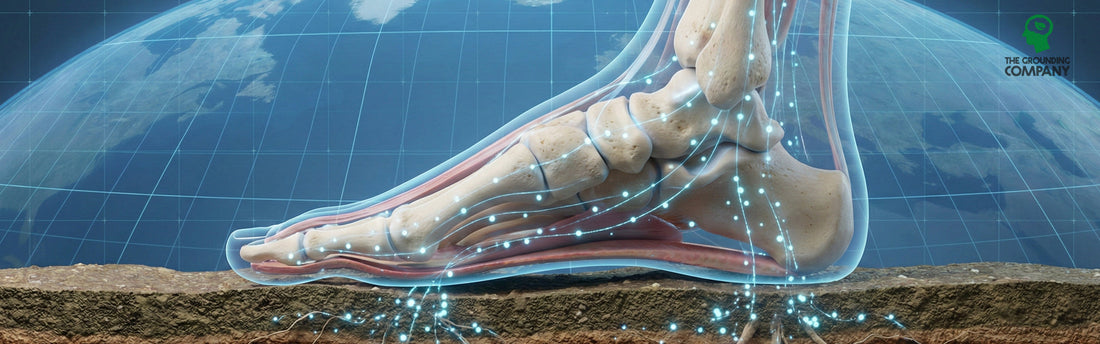 The Battery Metaphor: Are You Recharging or Just Draining?