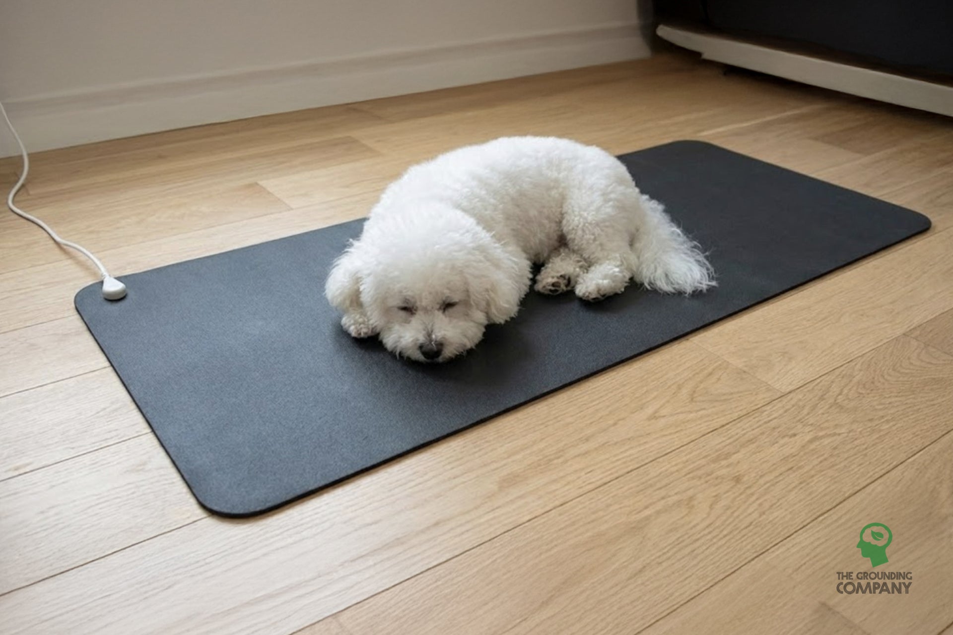 Grounding Desk & Floor Mat